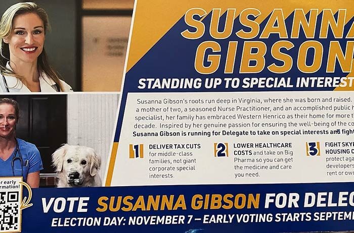 Graphic Showing Susanna Gibson Running For Office