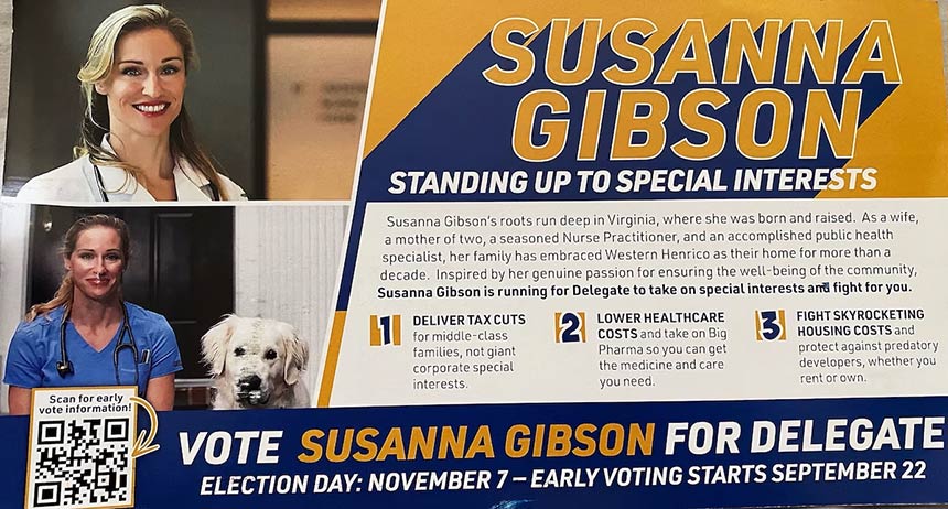 Graphic showing Susanna Gibson running for office