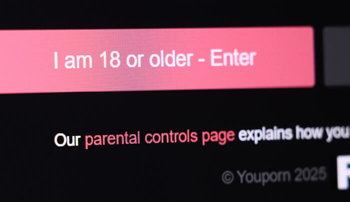 Screenshot of website showing age verification
